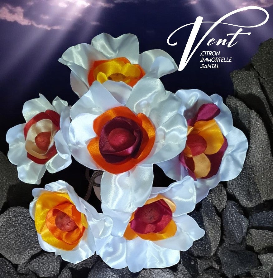 6.SAN Vent