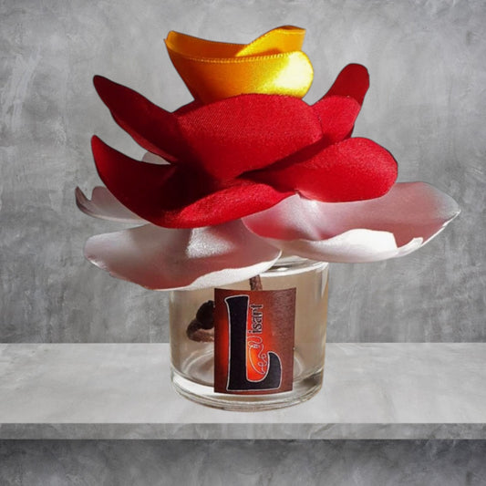 3. Diffuseur KYU avec parfum d'ambiance naturel | Lisa Art
