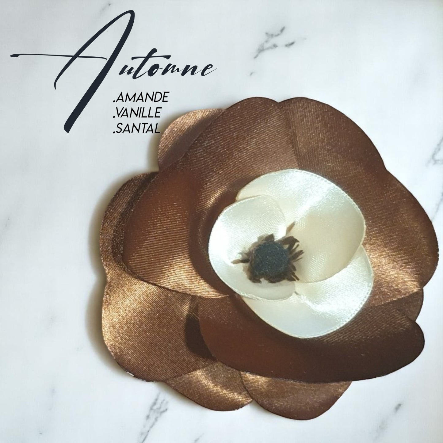 GO Automne