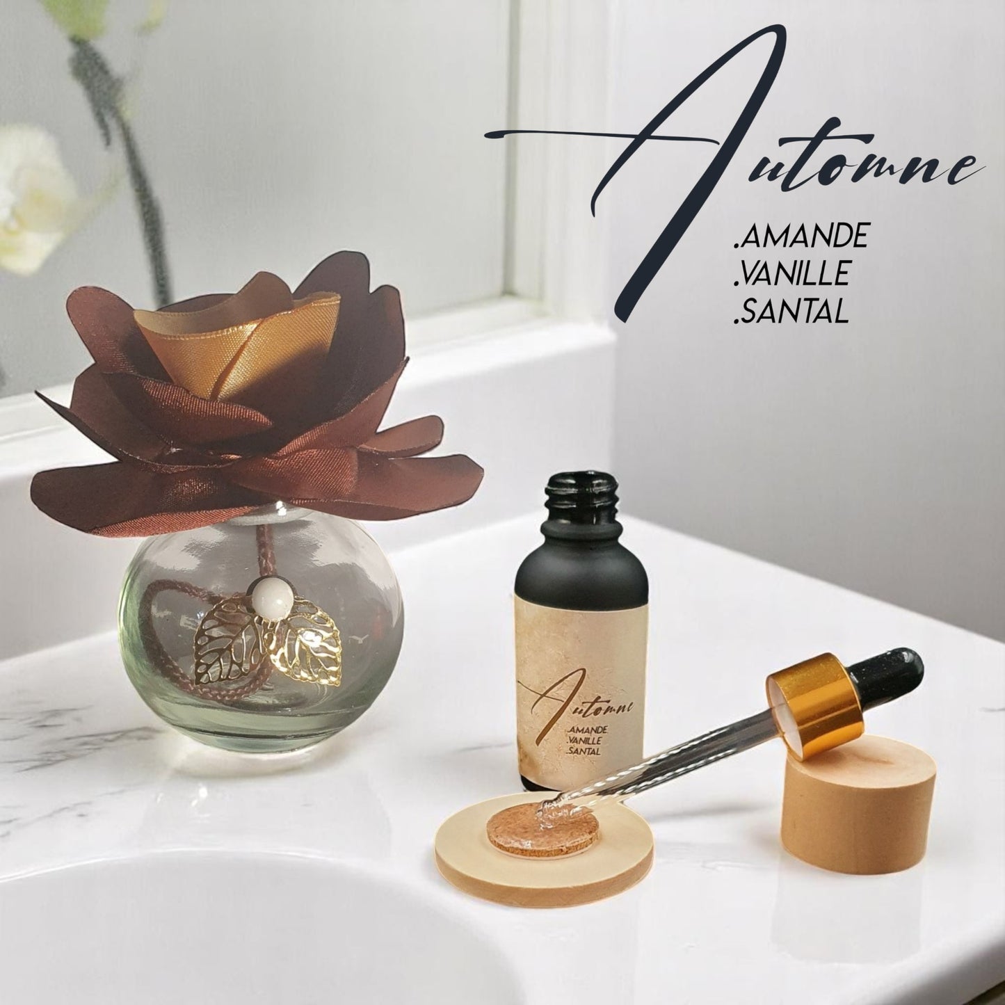 11. GO Automne