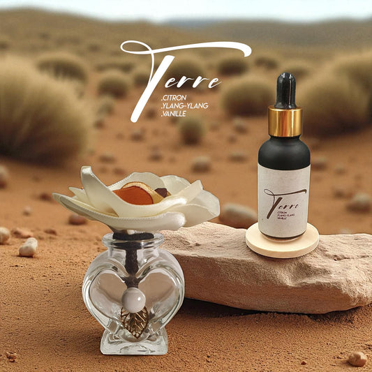 11 coffret ichi avec diffuseur fleur blanc flacon parfum d'ambiance et sa recharge