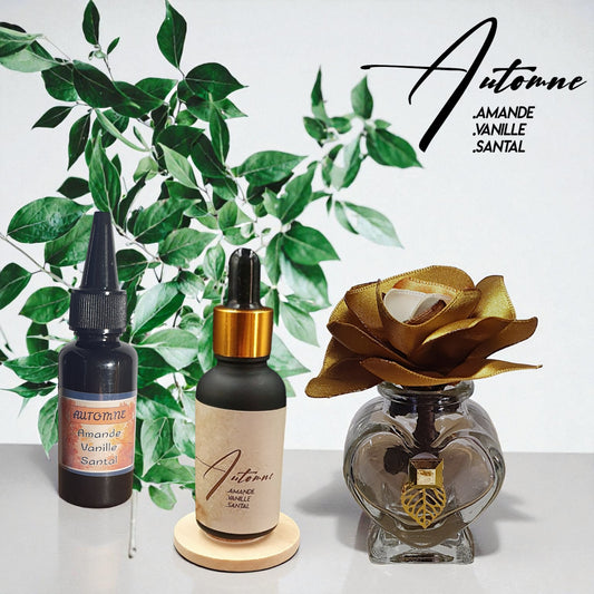 5 coffret ichi avec diffuseur fleur brun glacé flacon parfum d'ambiance et sa recharge