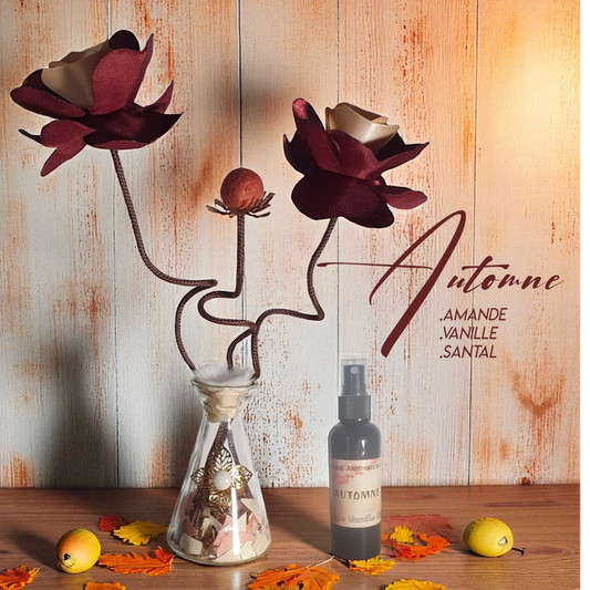 6.NI Automne