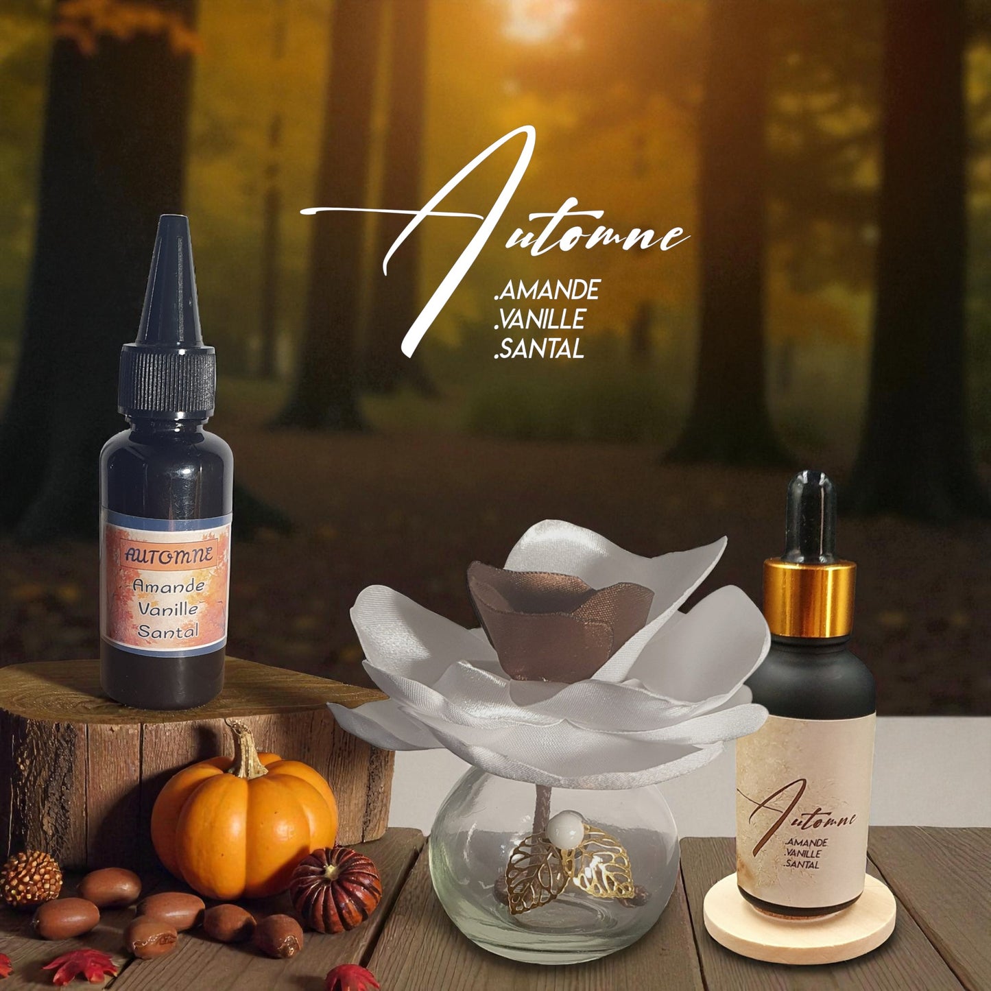 coffret de parfum d'ambiance go aux couleur d 'automne