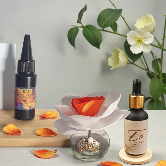 5. Diffuseur GO blanc/orange avec Parfum d'Ambiance Naturel | Lisa Art