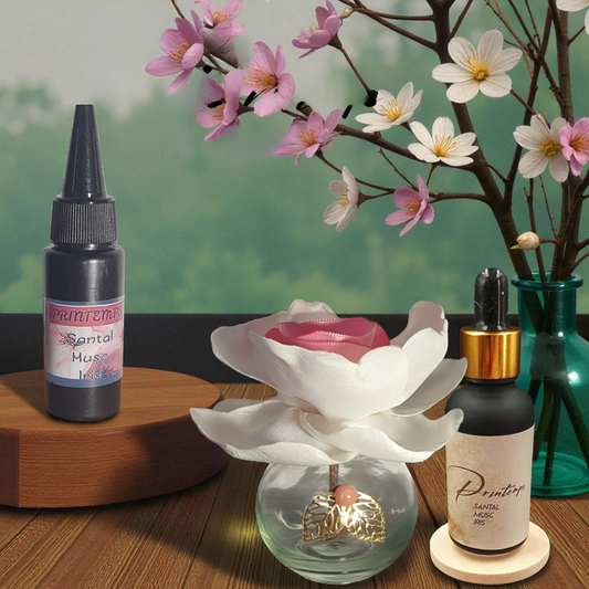 2. Diffuseur GO blanc/rose avec Parfum d'Ambiance Naturel | Lisa Art