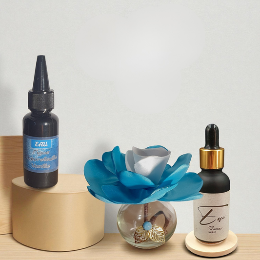 12. Diffuseur GO bleu/blanc avec Parfum d'Ambiance Naturel | Lisa Art