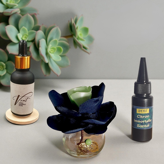19. Diffuseur GO bleu foncé et bambou avec Parfum d'Ambiance Naturel | Lisa Art