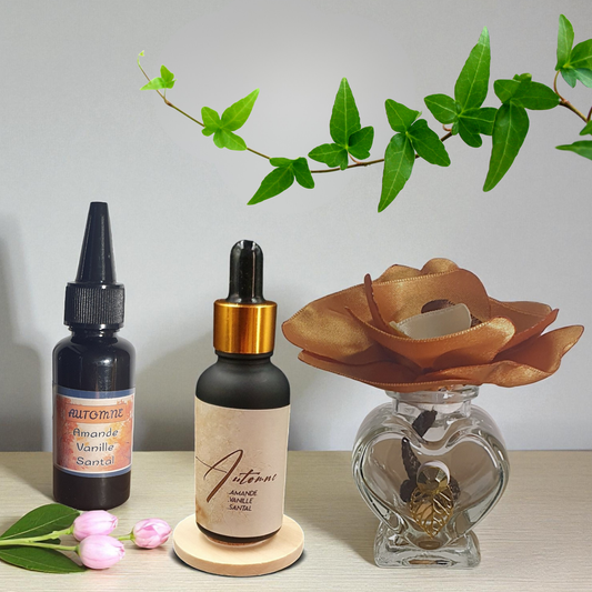 4. Diffuseur ICHI écureuil avec parfum d'ambiance naturel | Lisa Art