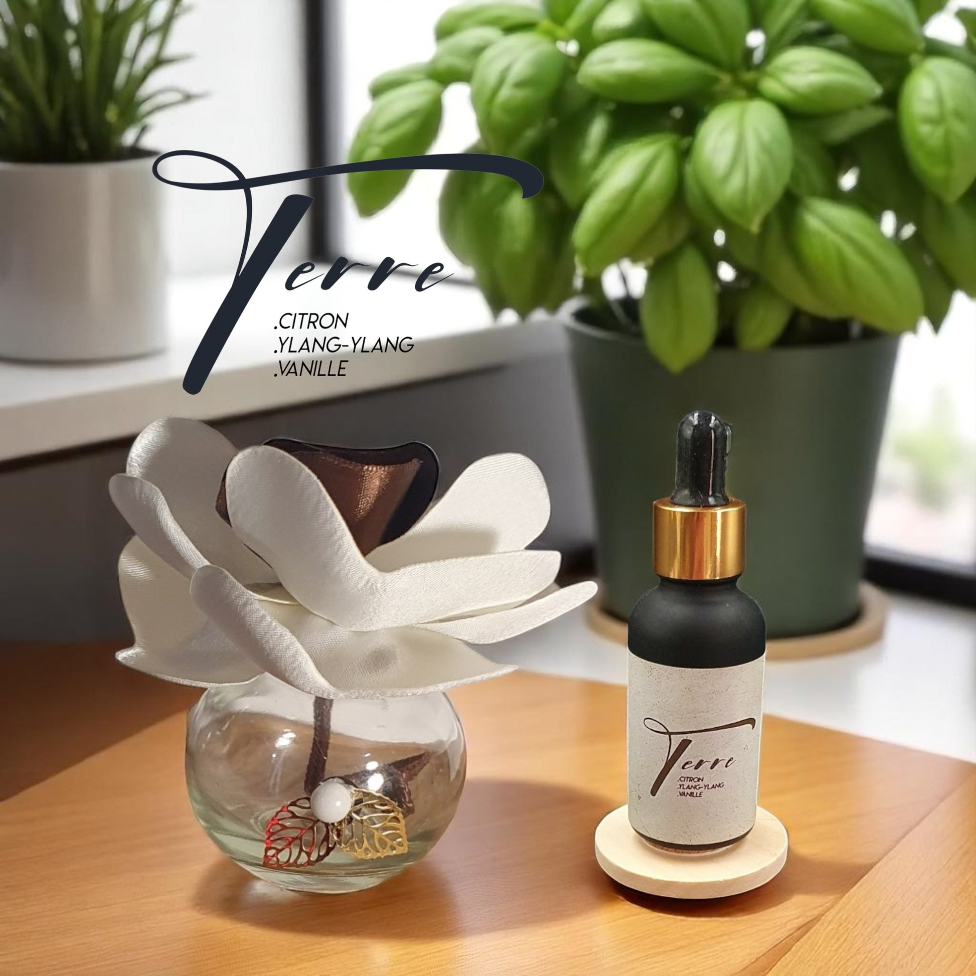 coffret diffuseur fleur avec parfum d'ambiance naturel