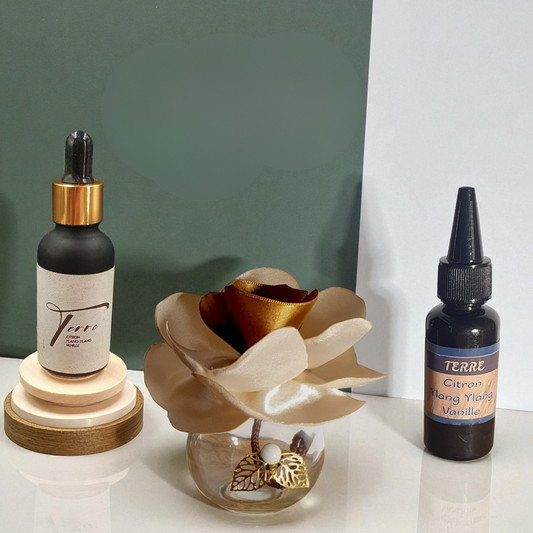 15. Diffuseur GO or clair/foncé avec Parfum d'Ambiance Naturel | Lisa Art