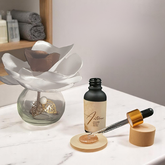 7. Diffuseur GO blanc/marron avec Parfum d'Ambiance Naturel | Lisa Art