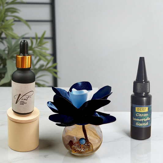 16. Diffuseur GO bleu/bleu avec Parfum d'Ambiance Naturel | Lisa Art