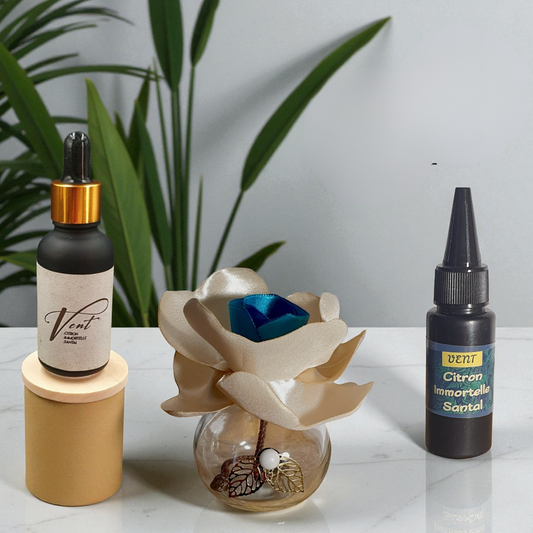 17. Diffuseur GO crème/émeraude avec Parfum d'Ambiance Naturel | Lisa Art