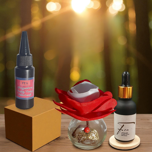 10. Diffuseur GO rouge/blanc avec Parfum d'Ambiance Naturel | Lisa Art