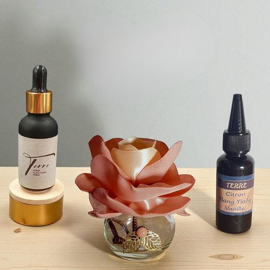 13. Diffuseur GO vieux rose/saumon avec Parfum d'Ambiance Naturel | Lisa Art