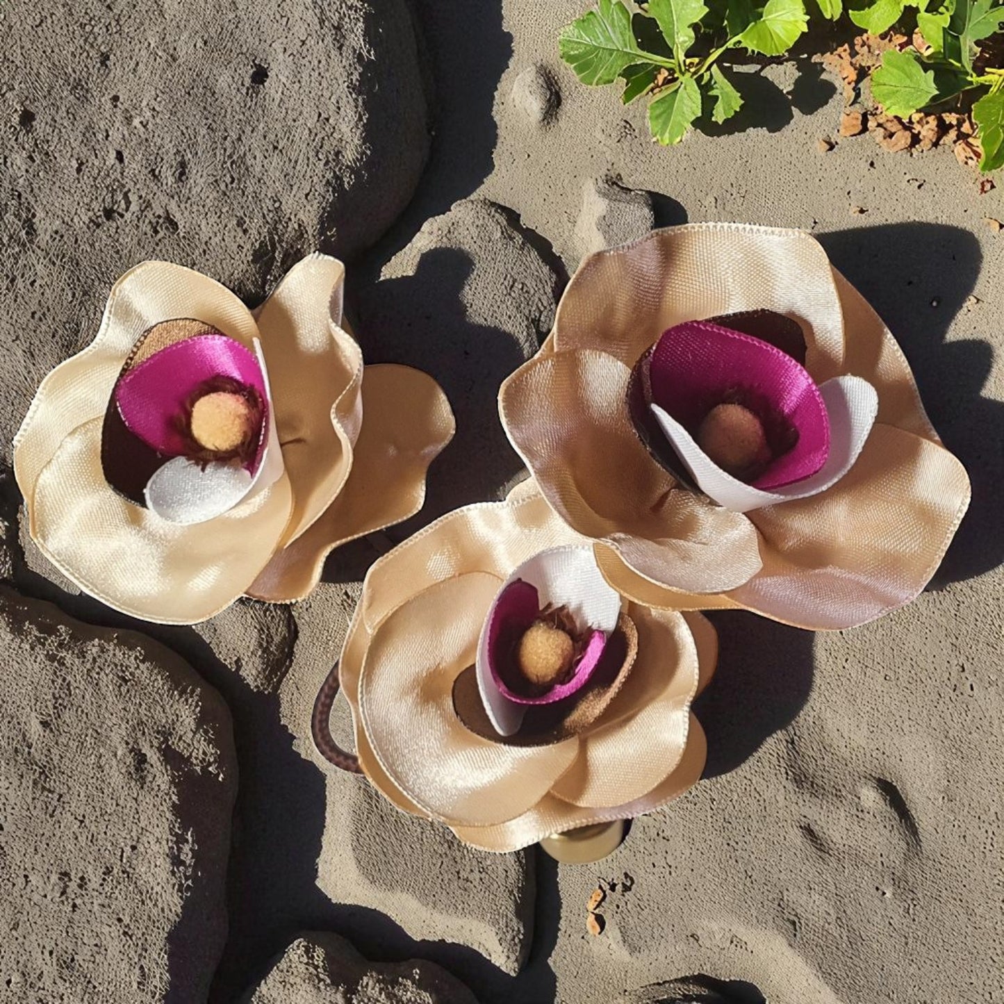 les fleurs panji aux couleurs et senteurs d'automne