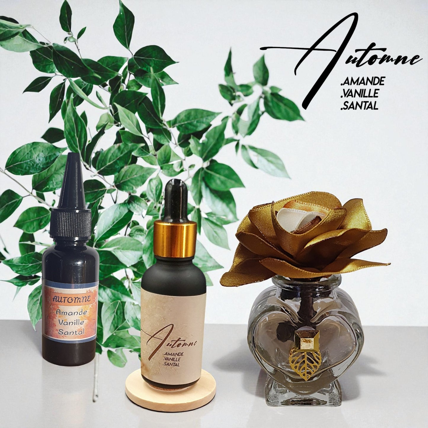 ICHI Automne product display with fall-inspired colors