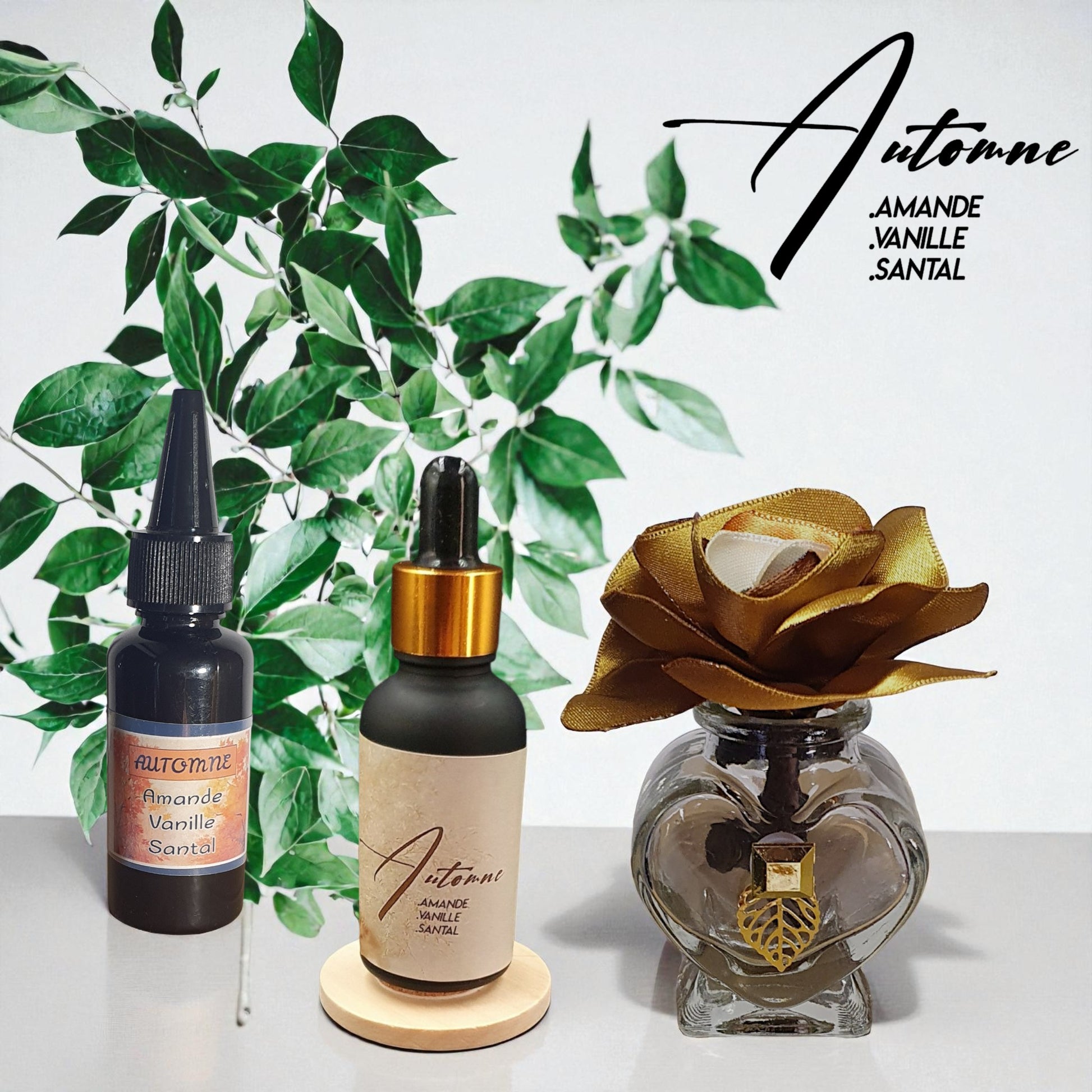 ICHI Automne product display with fall-inspired colors